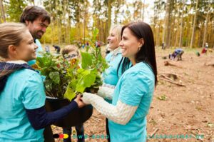 Menschen arbeiten im Wald und überreichen Blumen